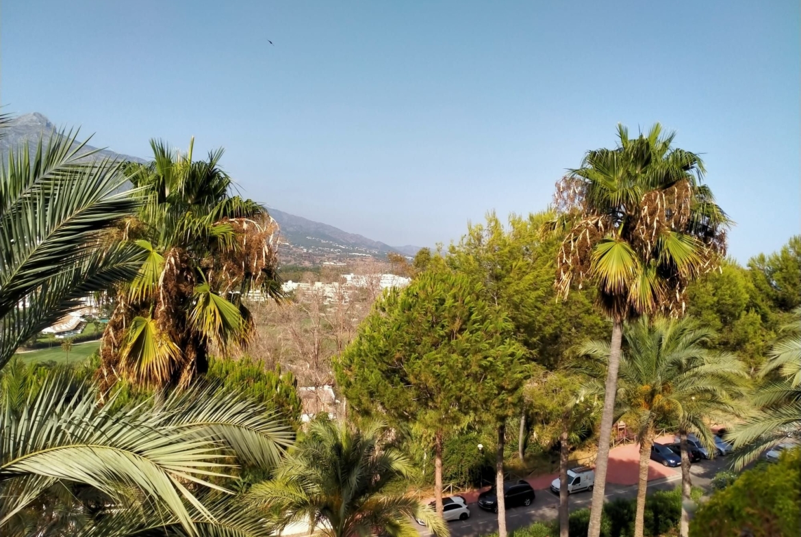 magna marbella luis3 after 33