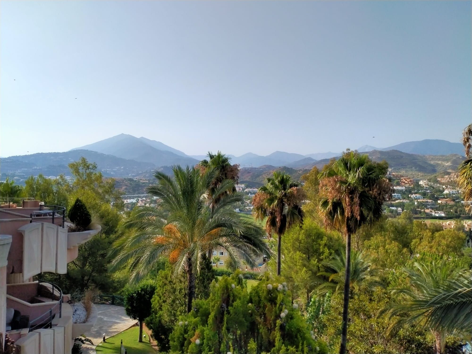 magna marbella luis3 after 46